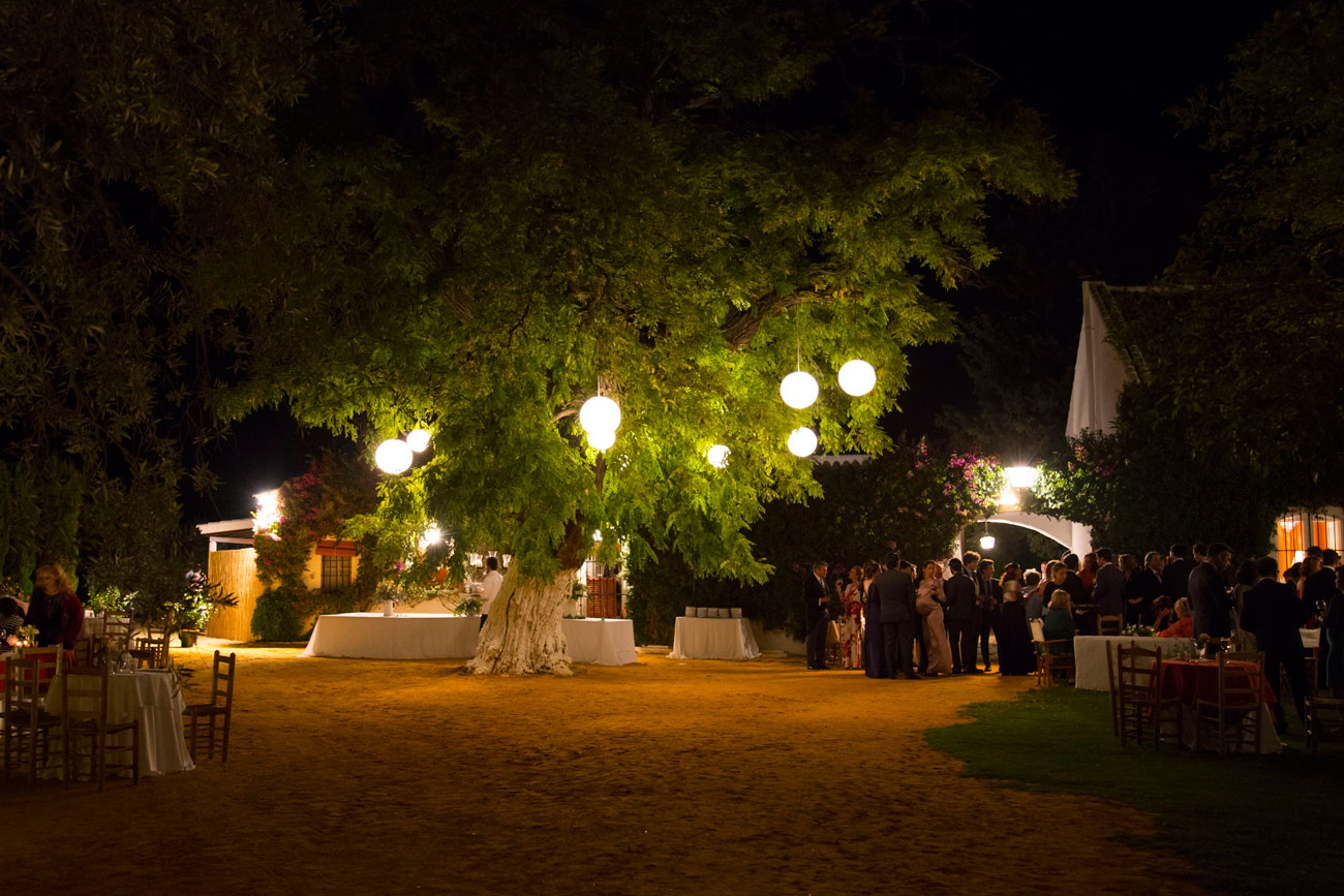 lámparas en árbol boda